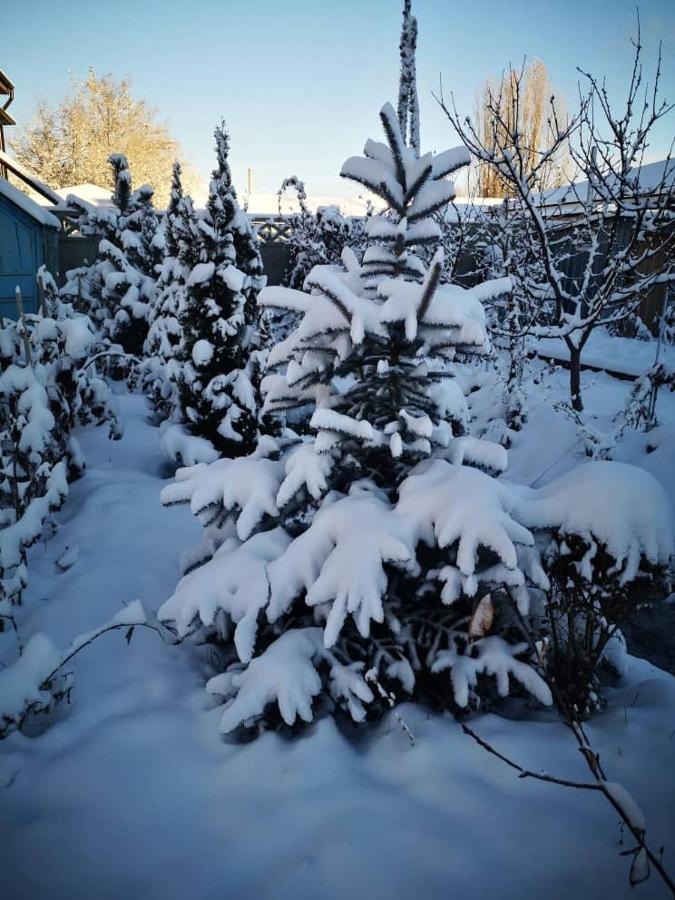 Загородный Коттедж Kek-Dzhar ภายนอก รูปภาพ